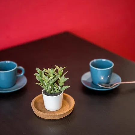 Apartamento Shortmi Canonica Milán
