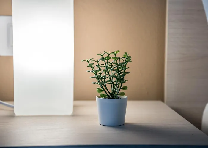 Shortmi Canonica Apartment *